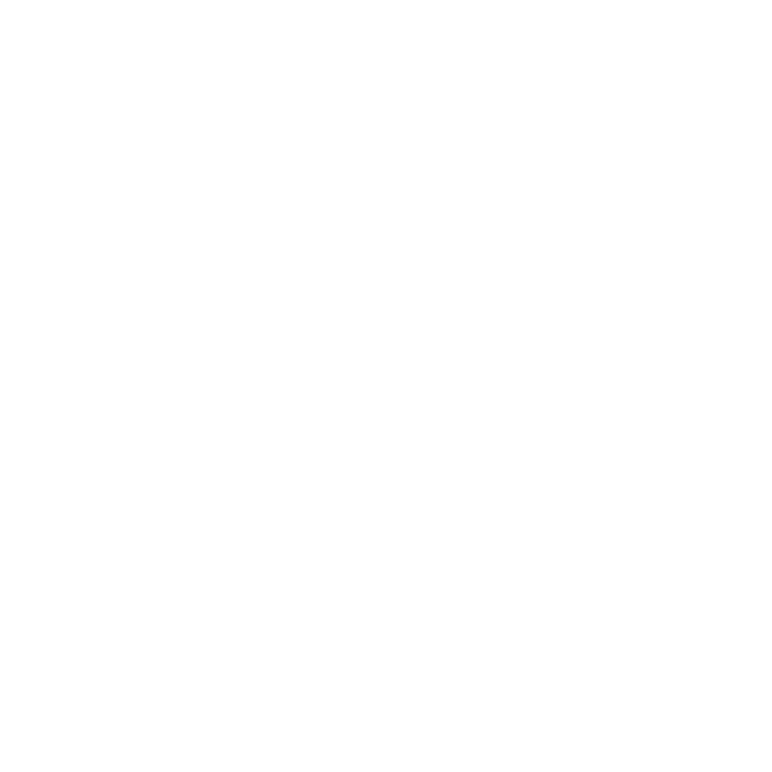 Icon Telefon